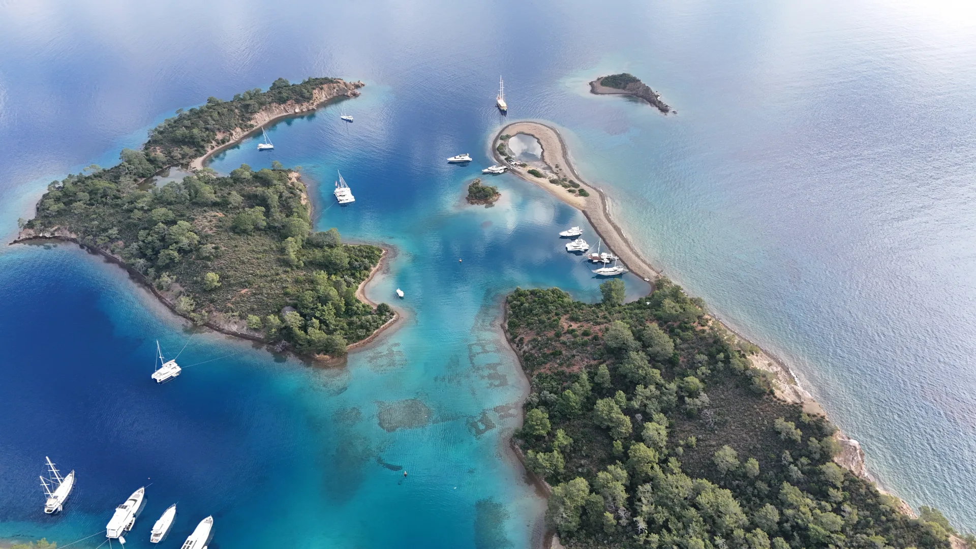 yassica islands